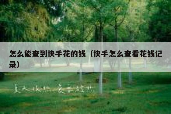 怎么能查到快手花的钱（快手怎么查看花钱记录） 第1张