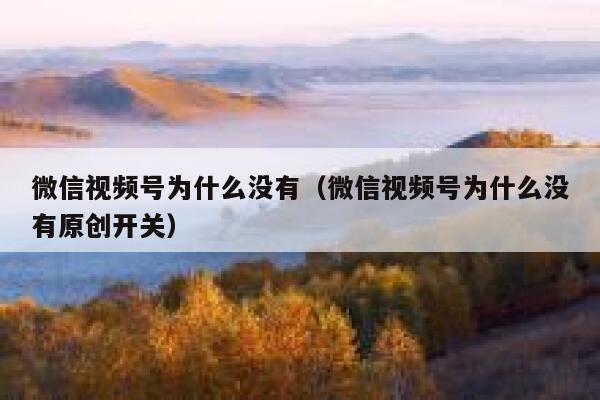 微信视频号为什么没有（微信视频号为什么没有原创开关） 第1张