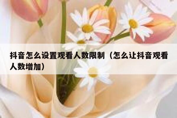 抖音怎么设置观看人数限制（怎么让抖音观看人数增加） 第1张