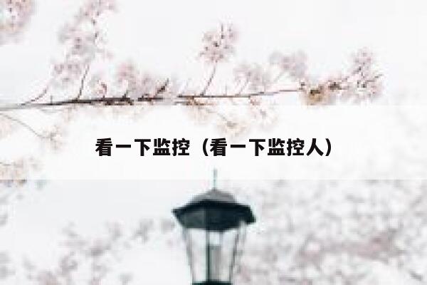 看一下监控（看一下监控人） 第1张