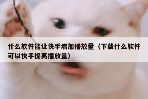 什么软件能让快手增加播放量（下载什么软件可以快手提高播放量） 第1张