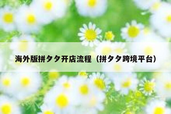 海外版拼夕夕开店流程（拼夕夕跨境平台） 第1张