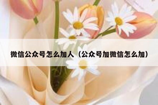 微信公众号怎么加人（公众号加微信怎么加） 第1张