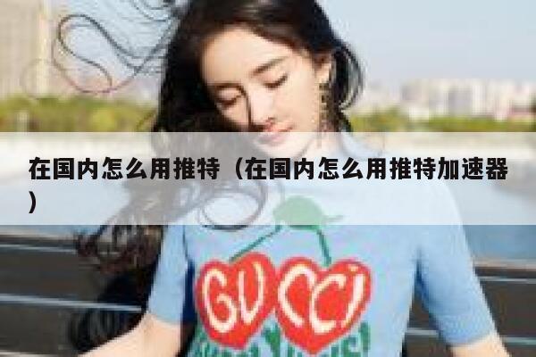 在国内怎么用推特（在国内怎么用推特加速器） 第1张