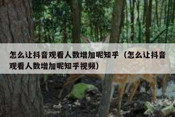 怎么让抖音观看人数增加呢知乎（怎么让抖音观看人数增加呢知乎视频） 第1张