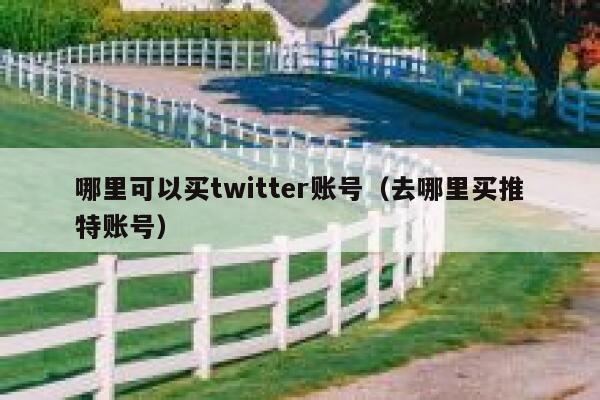 哪里可以买twitter账号（去哪里买推特账号） 第1张