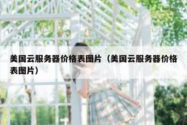 美国云服务器价格表图片（美国云服务器价格表图片） 第1张
