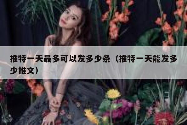 推特一天最多可以发多少条（推特一天能发多少推文） 第1张