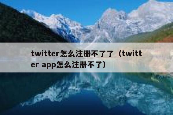 twitter怎么注册不了了（twitter app怎么注册不了） 第1张