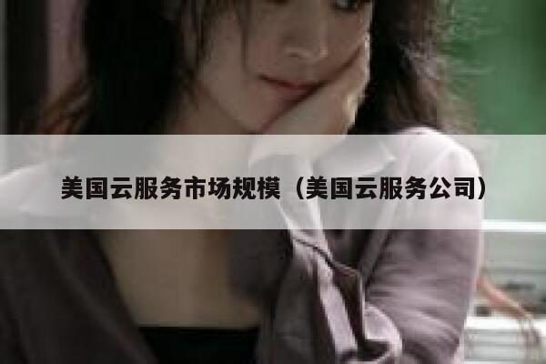 美国云服务市场规模（美国云服务公司） 第1张