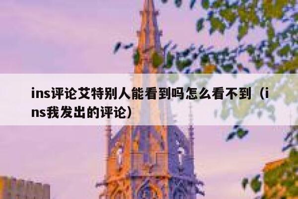ins评论艾特别人能看到吗怎么看不到（ins我发出的评论） 第1张