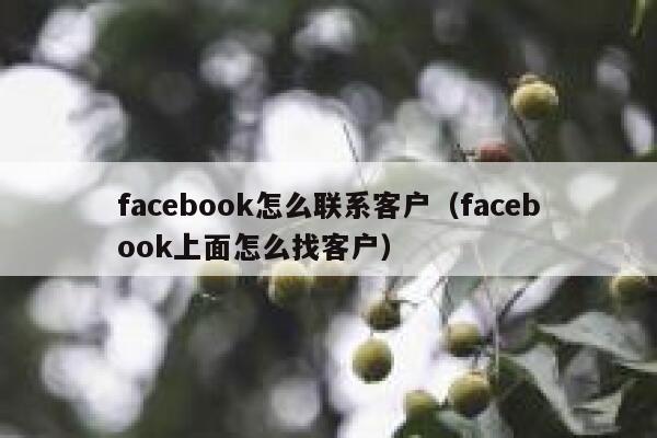 facebook怎么联系客户（facebook上面怎么找客户） 第1张