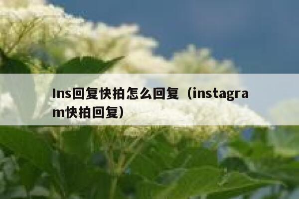 Ins回复快拍怎么回复（instagram快拍回复） 第1张