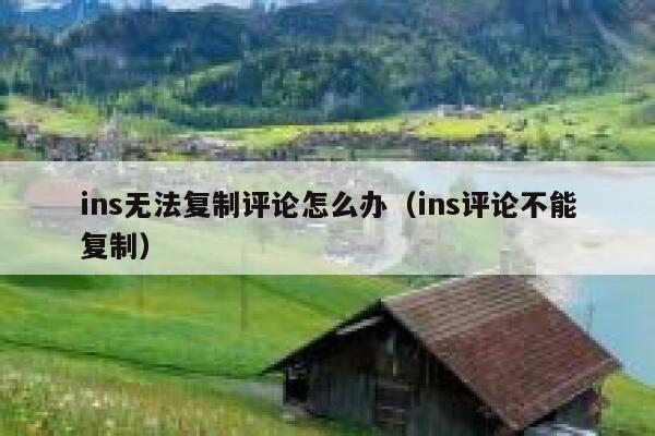 ins无法复制评论怎么办（ins评论不能复制） 第1张