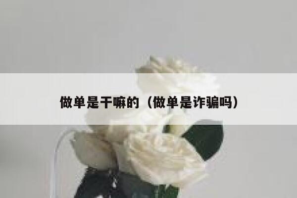 做单是干嘛的（做单是诈骗吗） 第1张