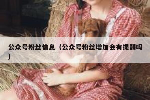 公众号粉丝信息（公众号粉丝增加会有提醒吗） 第1张
