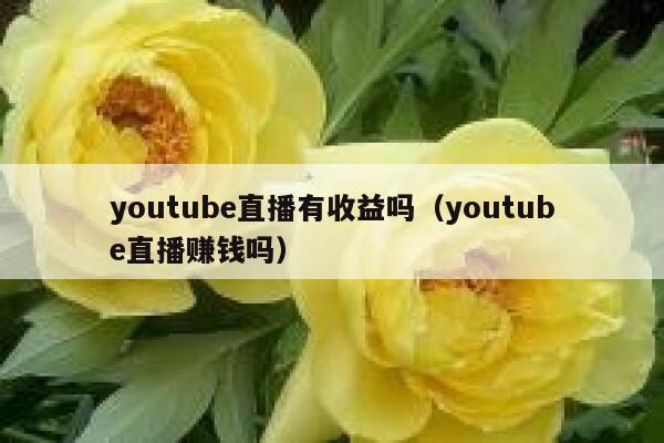 youtube直播有收益吗（youtube直播赚钱吗） 第1张