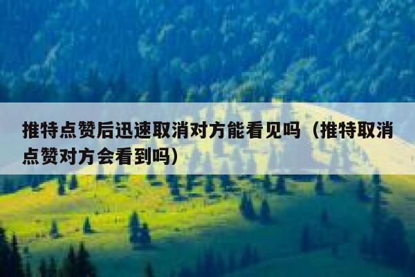 推特点赞后迅速取消对方能看见吗（推特取消点赞对方会看到吗） 第1张