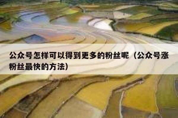 公众号怎样可以得到更多的粉丝呢（公众号涨粉丝最快的方法） 第1张