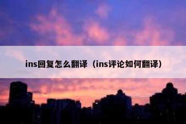 ins回复怎么翻译（ins评论如何翻译） 第1张