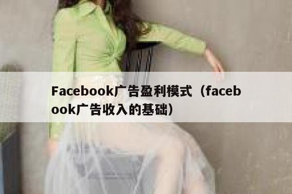Facebook广告盈利模式（facebook广告收入的基础） 第1张