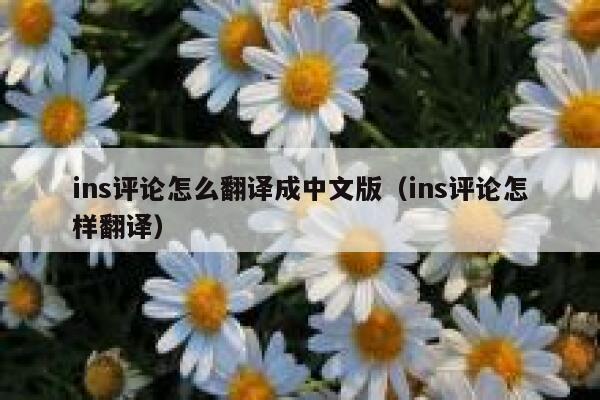 ins评论怎么翻译成中文版（ins评论怎样翻译） 第1张