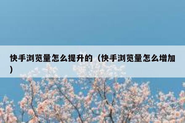 快手浏览量怎么提升的（快手浏览量怎么增加） 第1张