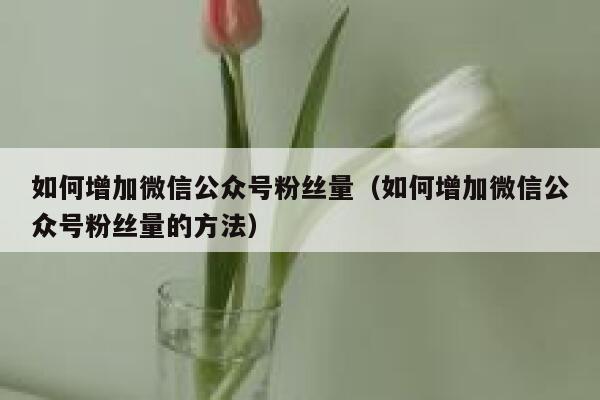 如何增加微信公众号粉丝量（如何增加微信公众号粉丝量的方法） 第1张
