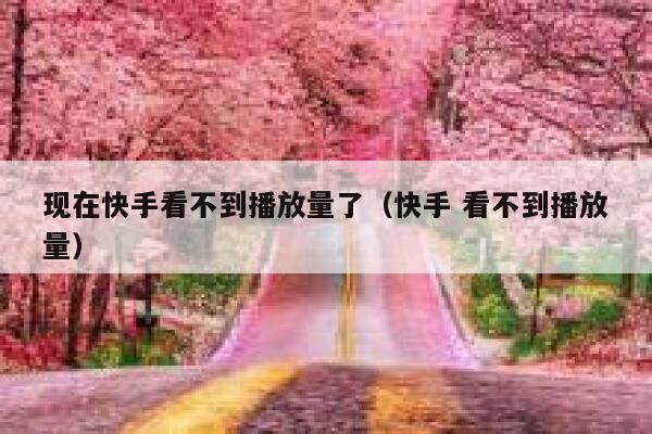 现在快手看不到播放量了（快手 看不到播放量） 第1张