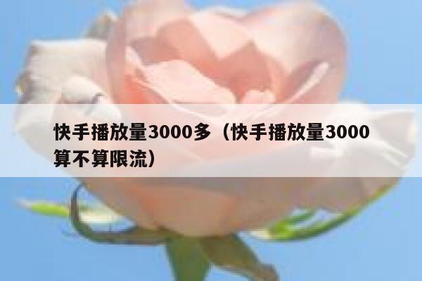 快手播放量3000多（快手播放量3000算不算限流） 第1张