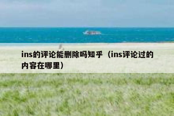 ins的评论能删除吗知乎（ins评论过的内容在哪里） 第1张