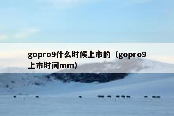 gopro9什么时候上市的（gopro9上市时间mm） 第1张