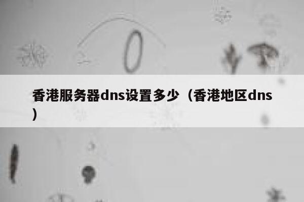 香港服务器dns设置多少（香港地区dns） 第1张