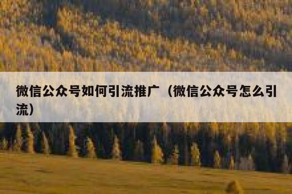 微信公众号如何引流推广（微信公众号怎么引流） 第1张