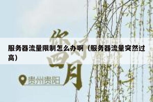服务器流量限制怎么办啊（服务器流量突然过高） 第1张