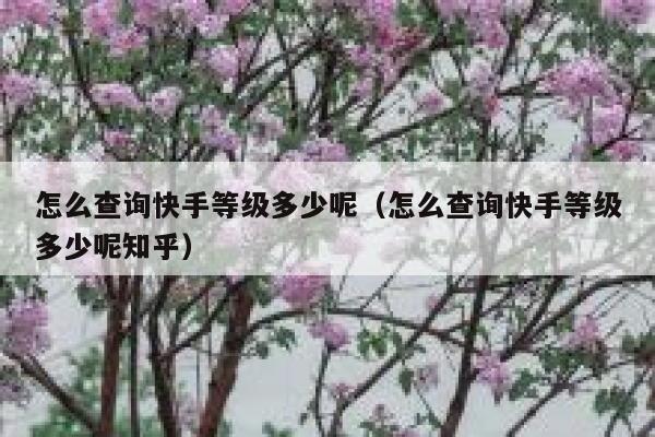 怎么查询快手等级多少呢（怎么查询快手等级多少呢知乎） 第1张