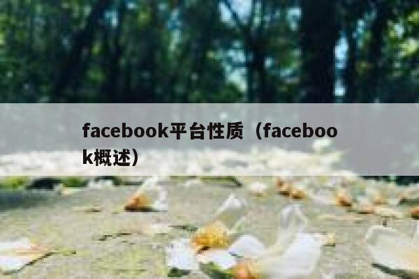 facebook平台性质（facebook概述） 第1张