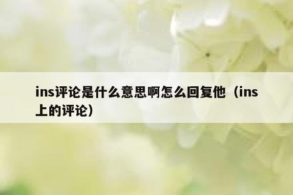 ins评论是什么意思啊怎么回复他（ins上的评论） 第1张