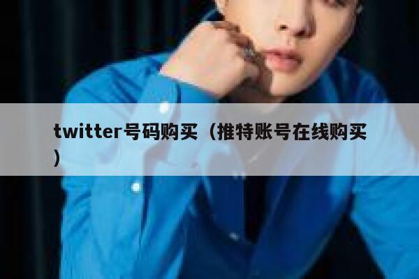 twitter号码购买（推特账号在线购买） 第1张
