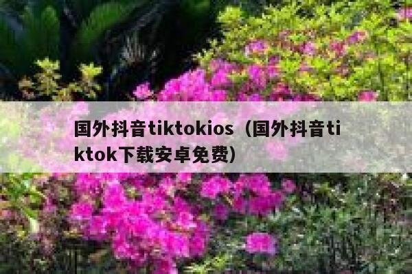 国外抖音tiktokios（国外抖音tiktok下载安卓免费） 第1张