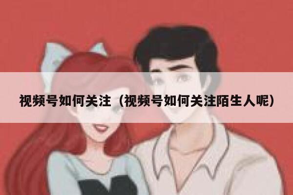 视频号如何关注（视频号如何关注陌生人呢） 第1张
