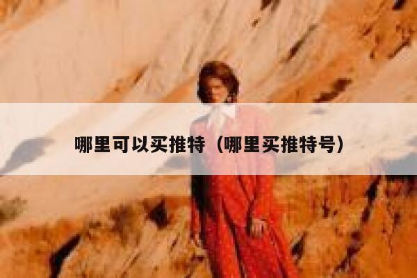 哪里可以买推特（哪里买推特号） 第1张