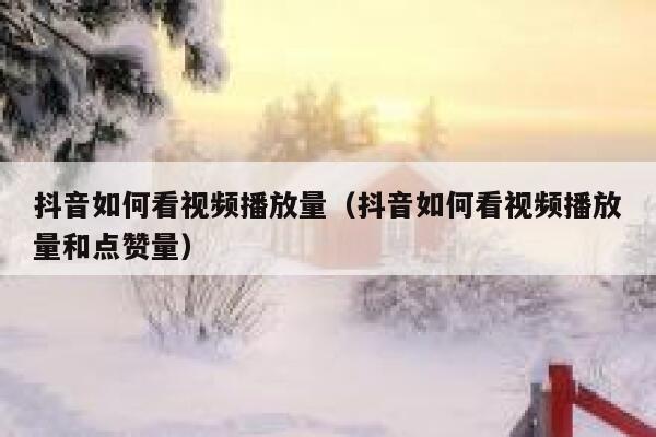 抖音如何看视频播放量（抖音如何看视频播放量和点赞量） 第1张