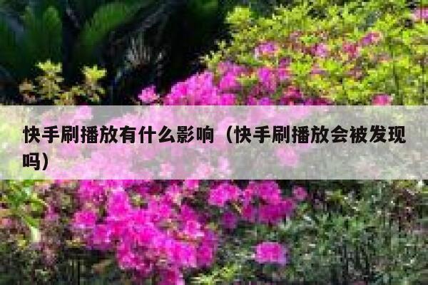 快手刷播放有什么影响（快手刷播放会被发现吗） 第1张