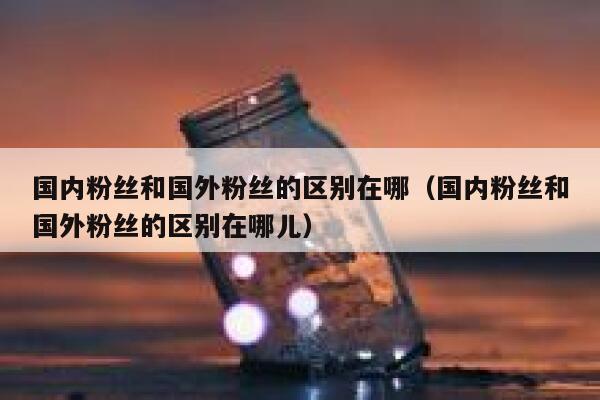 国内粉丝和国外粉丝的区别在哪（国内粉丝和国外粉丝的区别在哪儿） 第1张