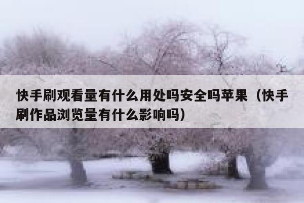 快手刷观看量有什么用处吗安全吗苹果（快手刷作品浏览量有什么影响吗） 第1张