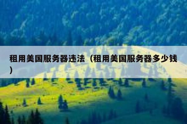 租用美国服务器违法（租用美国服务器多少钱） 第1张