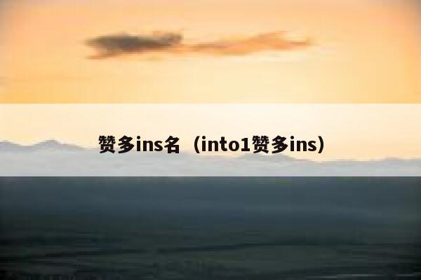 赞多ins名（into1赞多ins） 第1张