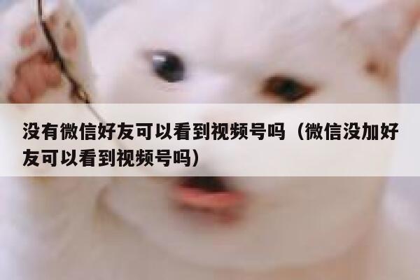 没有微信好友可以看到视频号吗（微信没加好友可以看到视频号吗） 第1张