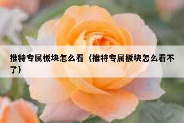 推特专属板块怎么看（推特专属板块怎么看不了） 第1张